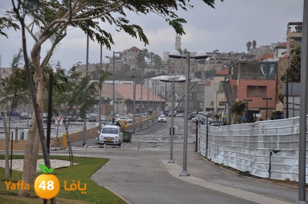 yaffa rain 1211 (45).JPG